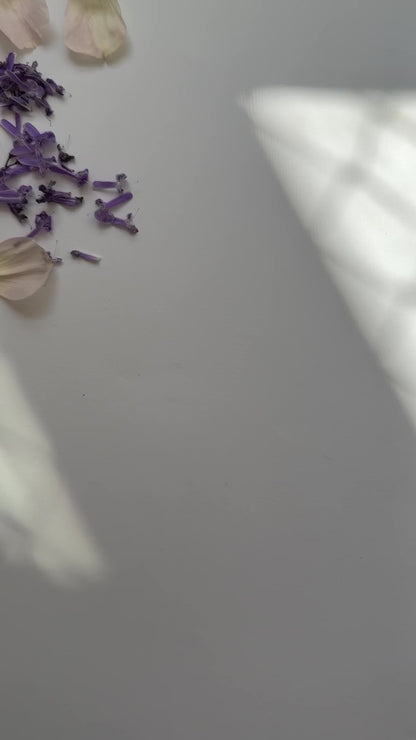 Bullet Journal : Neeli